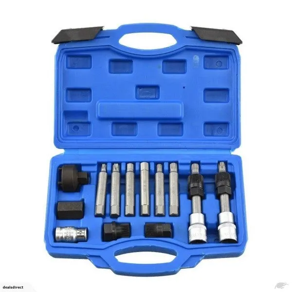 Automotive Alternator Pulley Kit 13pc
