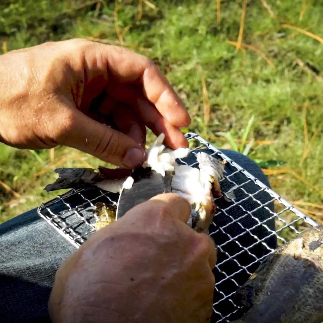 HellFire Bushcraft Stainless Steel Grill Set