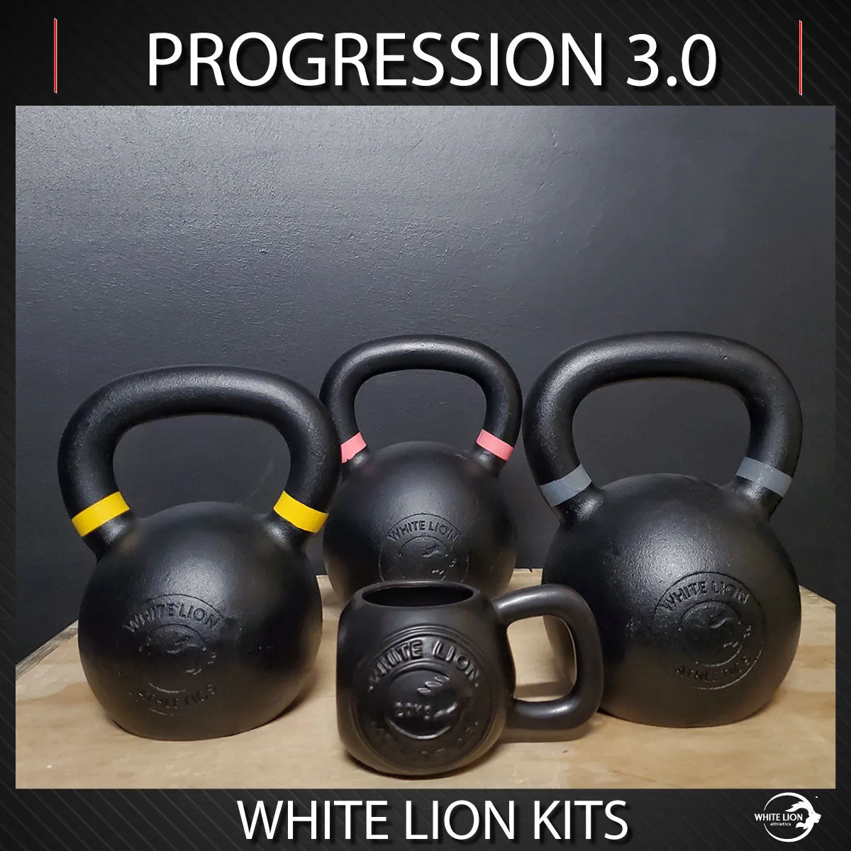 Kettlebell Package: Progression 3.0 (20kg/24kg/28kg   650ml Kettlebell Mug) |