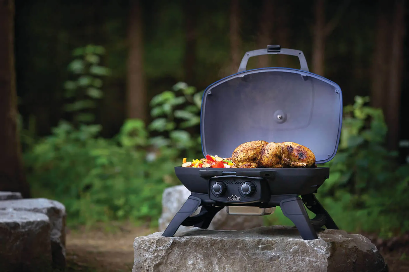 TravelQ™ 285 Portable Gas Grill By Napoleon