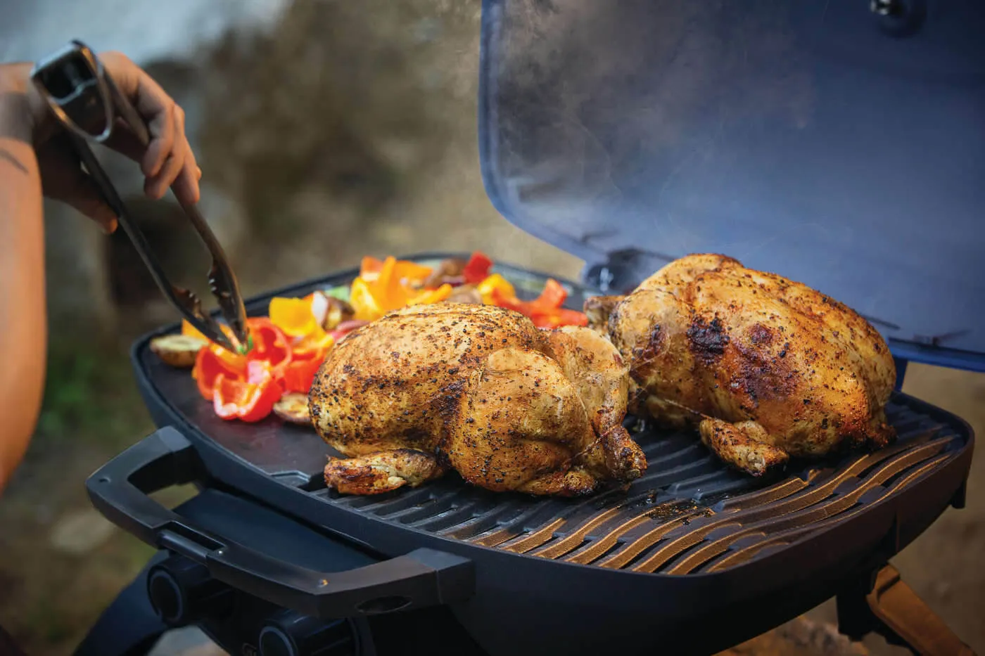 TravelQ™ 285 Portable Gas Grill By Napoleon